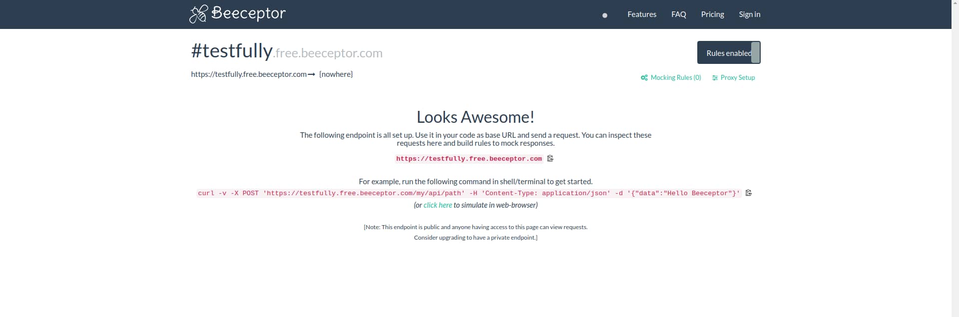 Beeceptor, a powerful mock API tool