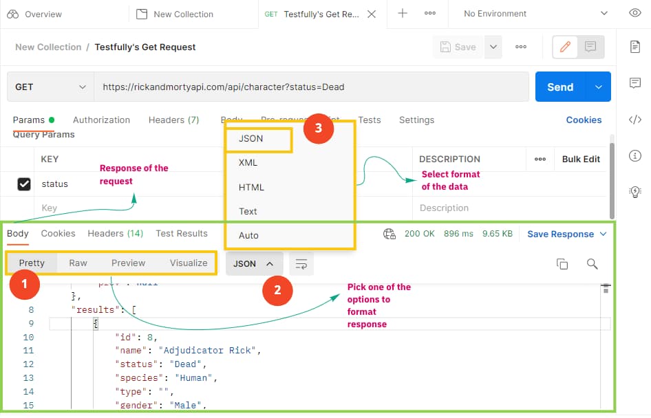 Postman Usage Example